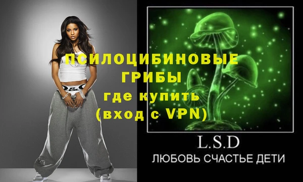 гашик Инта