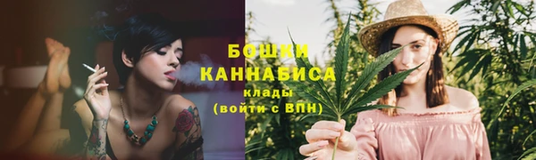 гашик Инта