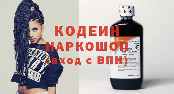 гашик Инта