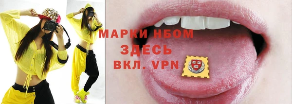 2c-b Инсар