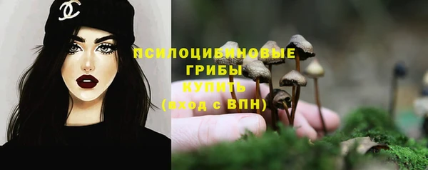 2c-b Инсар