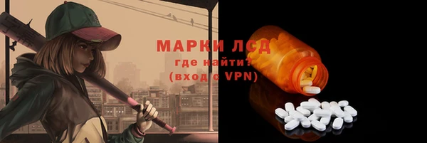 гашик Инта