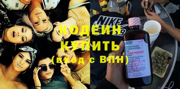 гашик Инта
