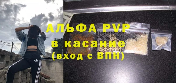 гашик Инта