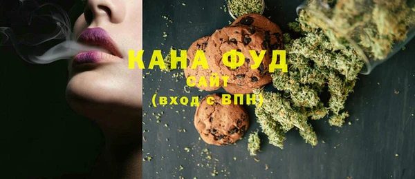 гашик Инта
