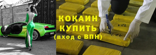 гашик Инта